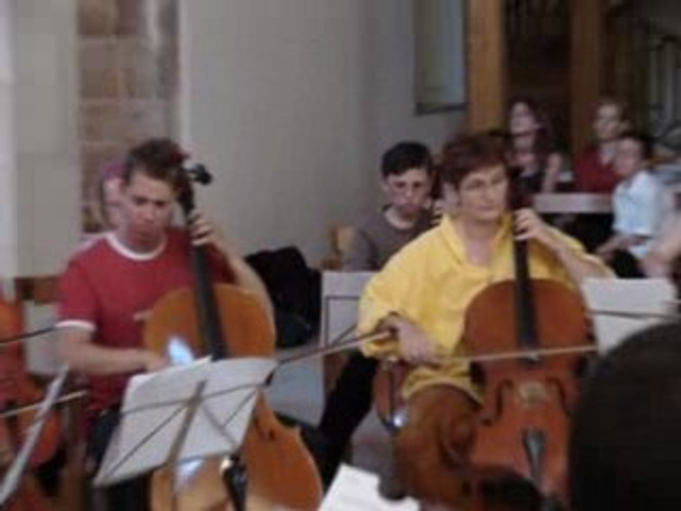 Les cordes en fête Le Roi Lion