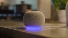 Google Home Speaker: So sieht der neue KI-Assistent aus