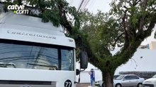 Galho de árvore cai sobre caminhão durante entrega no Centro de Cascavel