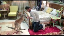 فيلم بيج رامى  رامز جلال