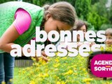 Agenda des Sorties du 24 au 26 juin 2026