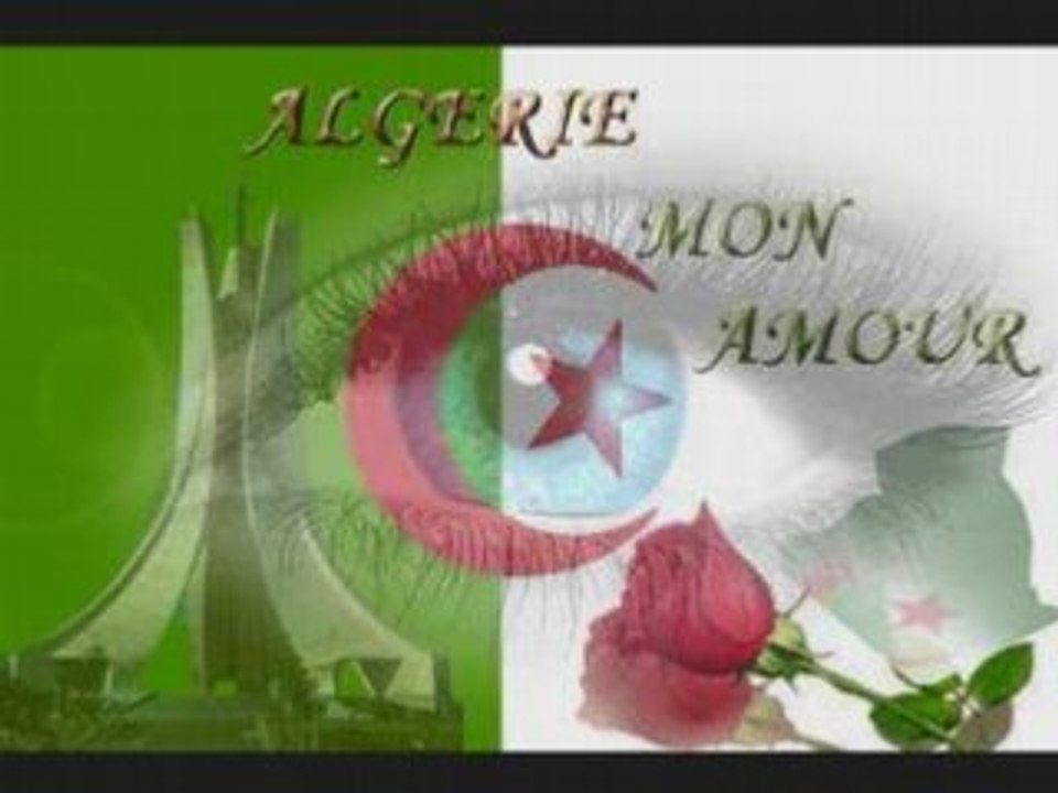 Ana galbi brak