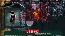JOOAN 2.4G WiFi Bird Feeder Camera 5MP AI Bird Recognition Nig... -- Best Buy 2026 | Great Quality!