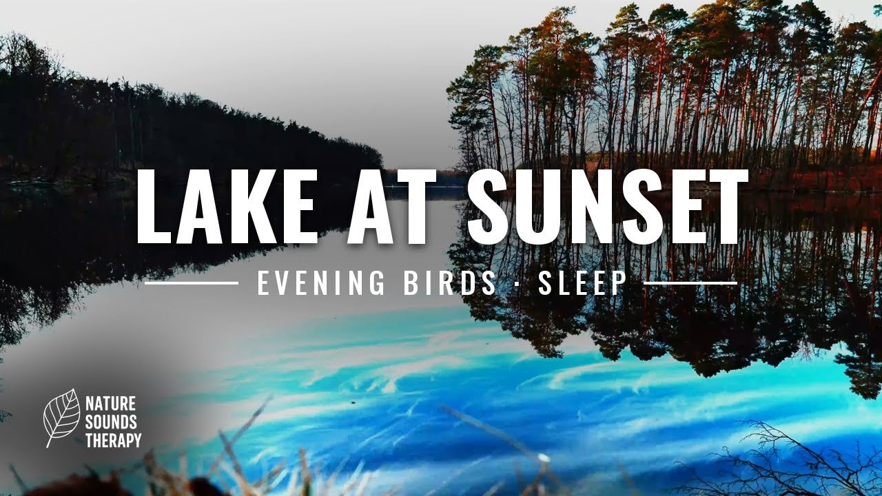Evening Birdsong for Sleep | Forest Lake at Sunset