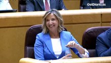 Bolaños, al PP: "Yo respeto que el señor Aldama sea su referente ético. Métanle en sus próximas listas electorales"