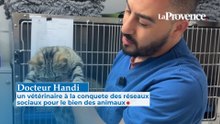 Docteur Handi : le vétérinaire à la conquête des réseaux sociaux pour le bien des animaux
