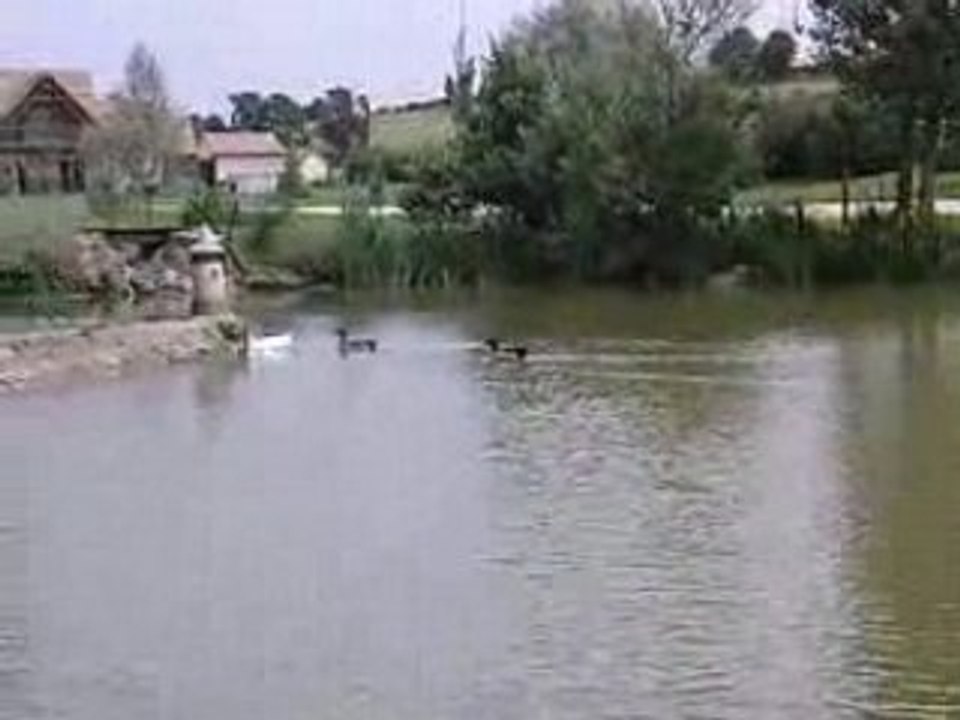 Le naufrage de kiki..
