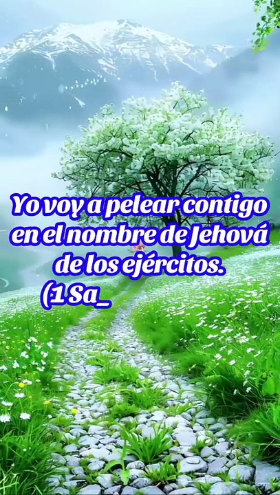 Confiar en Jehová