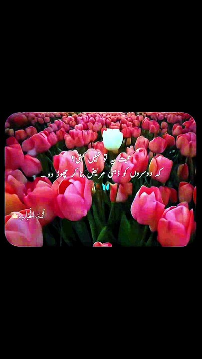 Love???