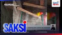 Alagang lovebird, tumitilaok gaya ng manok | Saksi