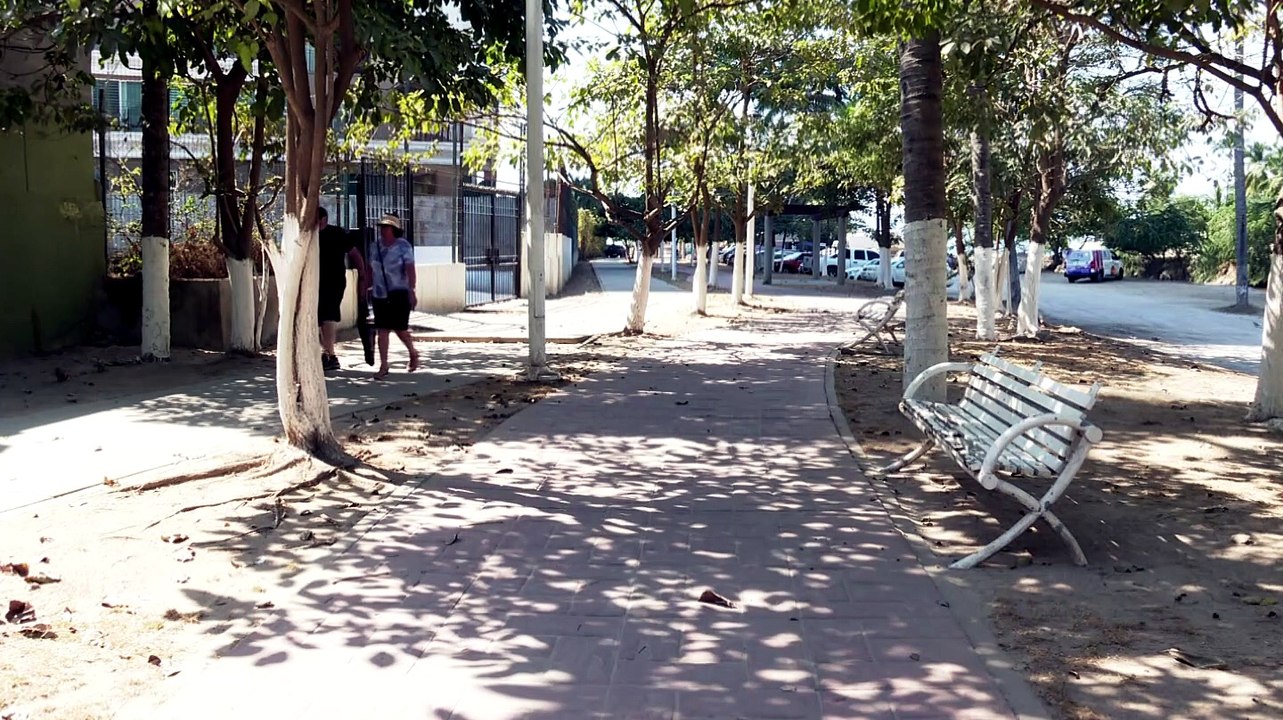 Playa Holi pierde más del 30% de su superficie en Vallarta | CPS Noticias Puerto Vallarta