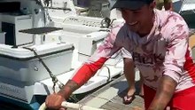 Pesca record ad Arbatax: catturato tonno da 168kg