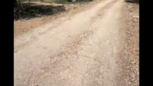 Michele monopoli story dopo un giorno in campagna si a vedere e incontrare eros ramazotti