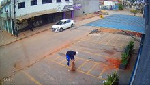 Homem destrói destrói casas de cães no Riacho Fundo
