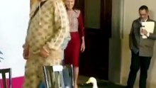 Pato que viralizou na Copa ganha reconhecimento oficial