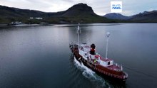 Islandia wznawia połowy wielorybów: pierwsze od 2023 roku