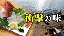 【穴釣り】釣った魚を刺身にしたら…人生で一番うまかった