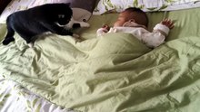 #funny_pets_animals_funny