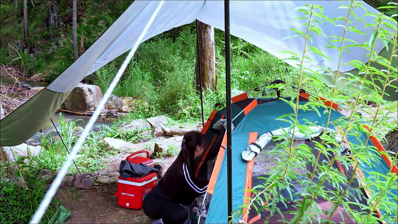 🏕️ Solo Camping in the Wilderness   Tent Setup, Camp Cooking & Relaxing Creek Sounds ASMR