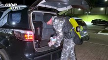 Choque apreende 7 kg de haxixe marroquino e iPhones na Rodoviária de Cascavel