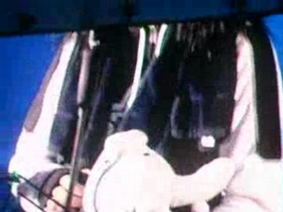 Concert Tokio Hotel - Parc des Prince