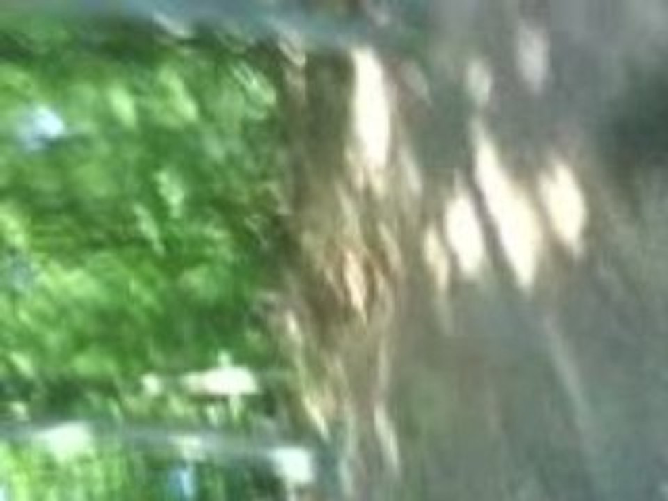 sper cascade