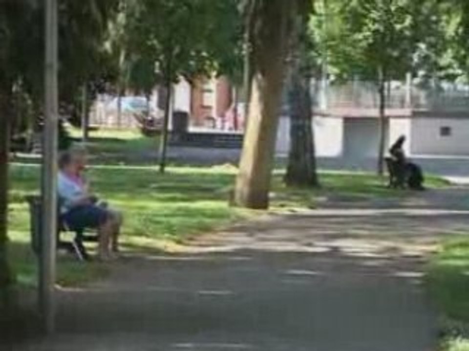 Les parcs de la ville de Haguenau