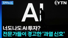[자막뉴스] 너도나도 AI 투자? 전문가들이 경고한 '과열 신호’ / YTN