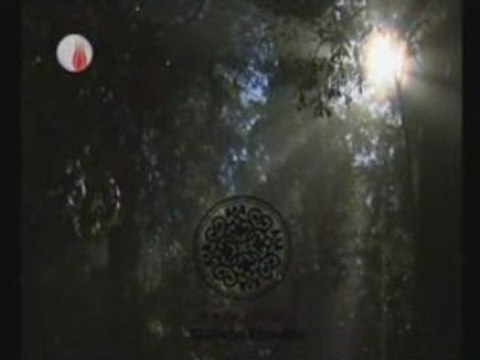 Ertuğrul Erkişi - Güllerin Efendisi