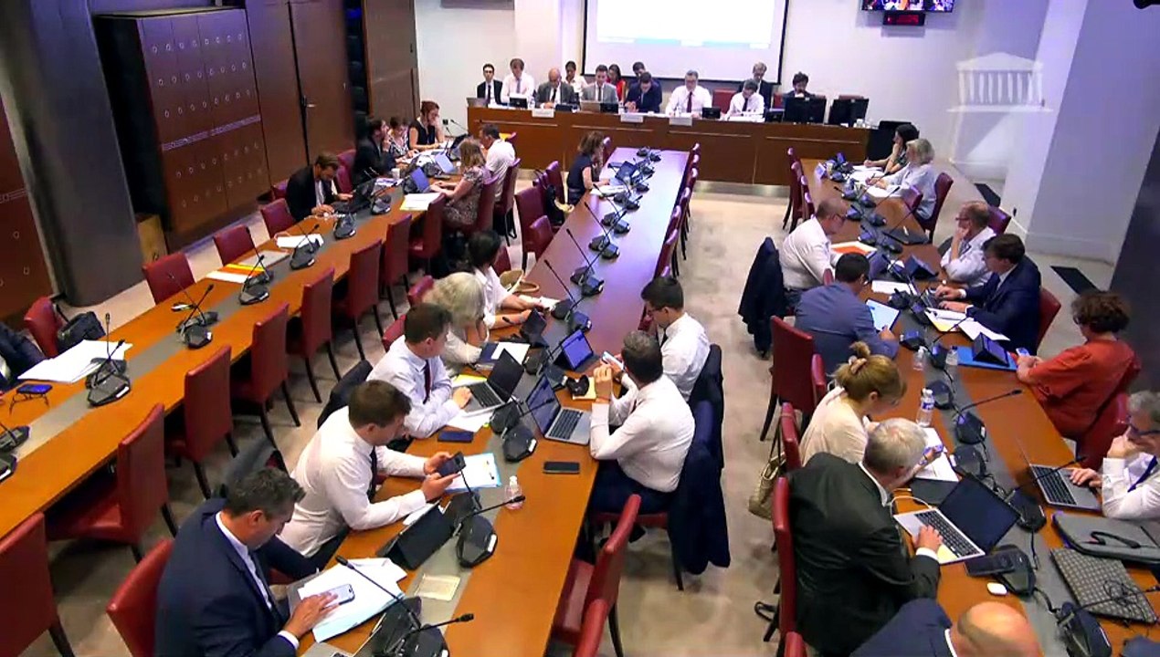 Commission des lois : Réponses immédiates aux phénomènes troublant l’ordre public, la sécurité et la tranquillité de nos concitoyens (suite) - Mardi 23 juin 2026