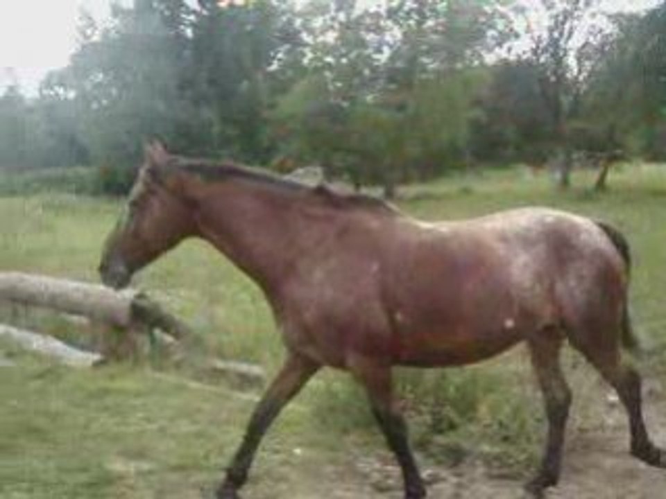 Doucier07