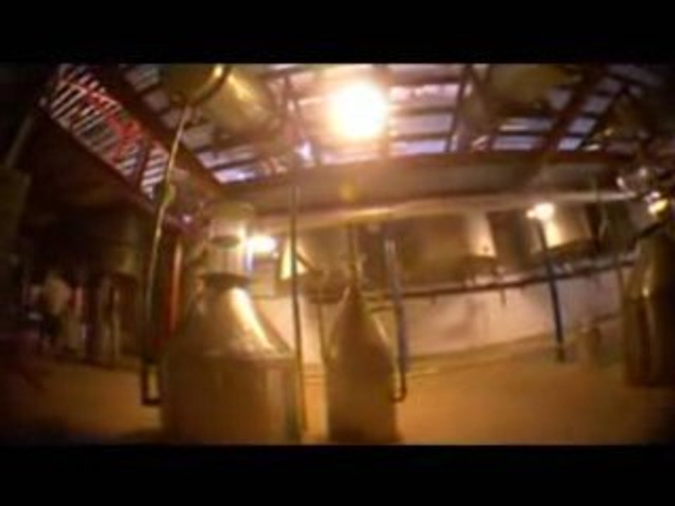 Therapeutische ätherische Öle von YoungLiving