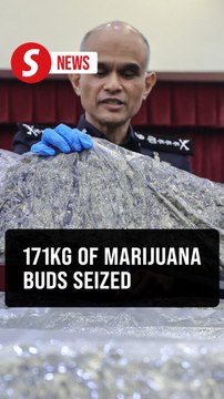 Police crack down on drug trafficking: 171kg of marijuana seized in major operations