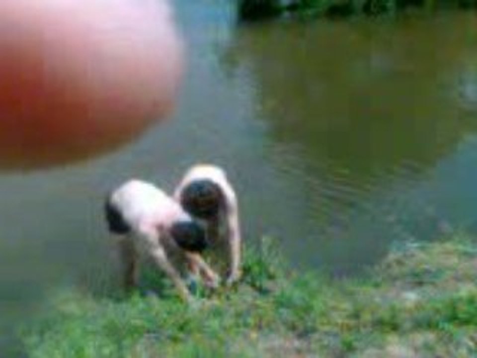 Vidéo014