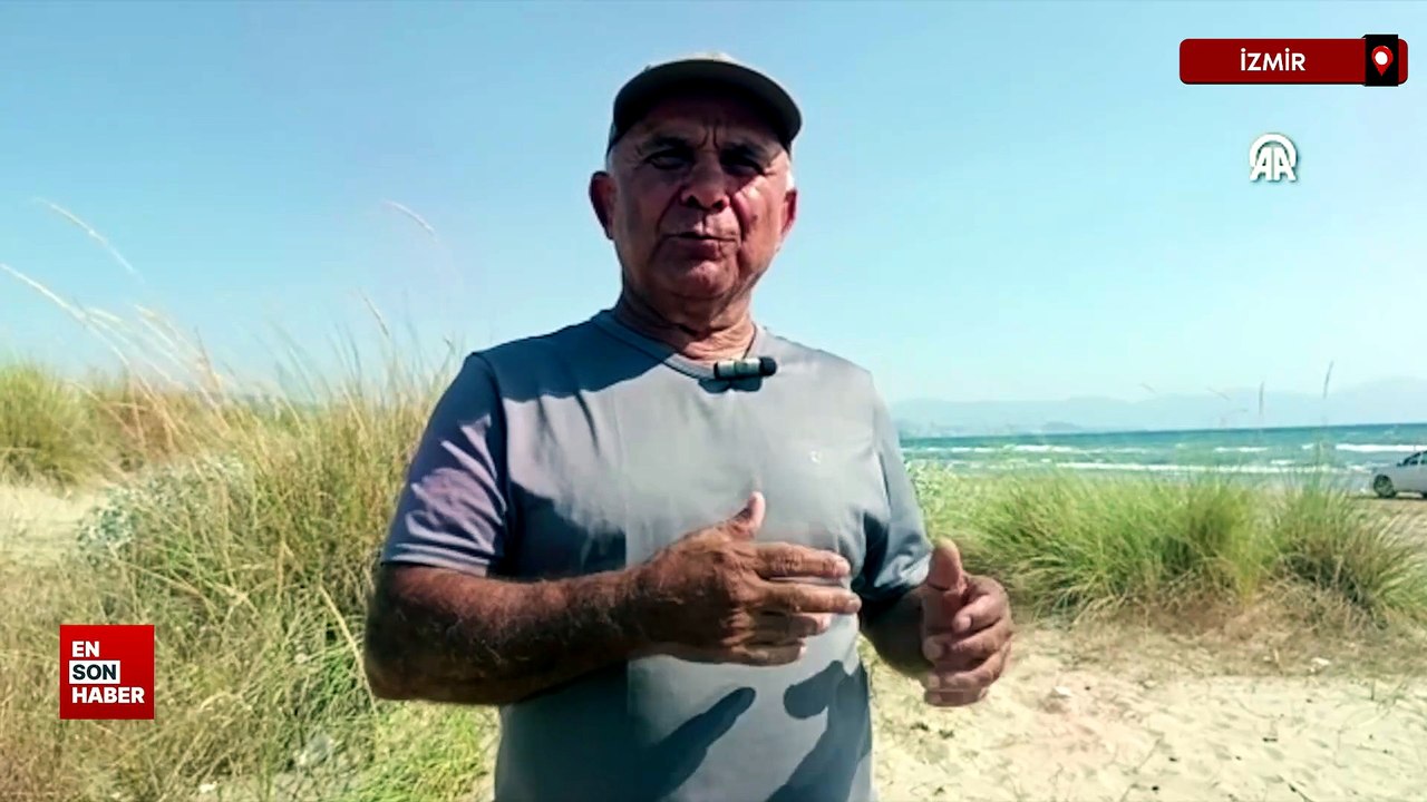 İzmir'de yüzgecine parke taşı bağlanan deniz kaplumbağası ölü bulundu