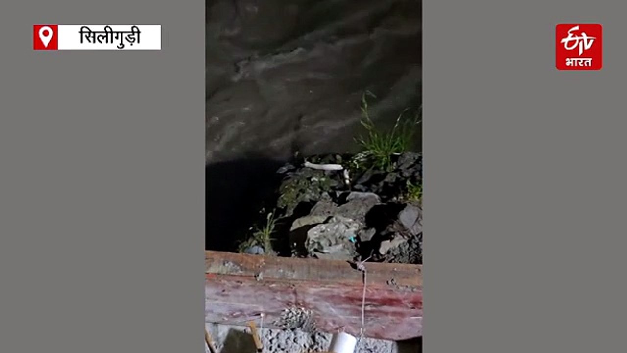 पश्चिम बंगाल : तीस्ता नदी के किनारे दिखा दुर्लभ सफेद अजगर, देखें वीडियो