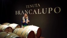 Chiara Lungarotti, l'Umbria e l'impronta del lupo: "Difficile da domare, come il Sagrantino"