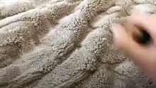 Recréer Dune avec un chat et une couverture, c’est bluffant !