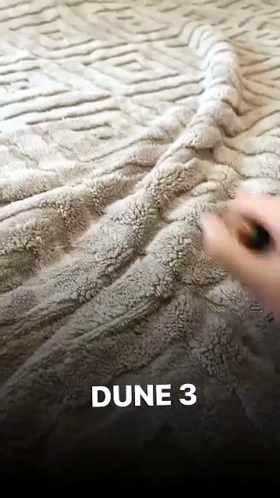 Recréer Dune avec un chat et une couverture, c’est bluffant !