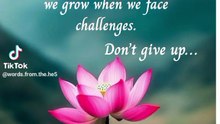 Life Motivational Quotes