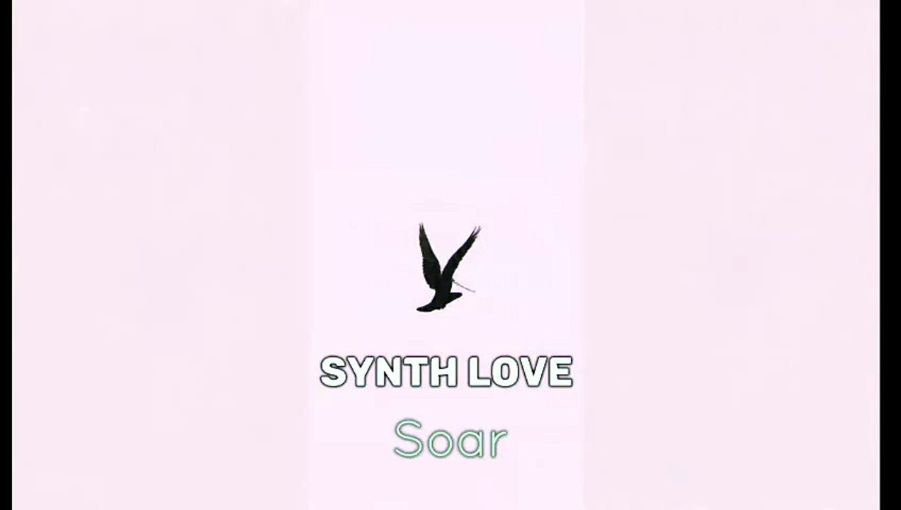 Synth Love - Soar