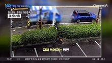 ‘가방 스윙’ 덕에 잡았다…경찰 추격전 도운 시민