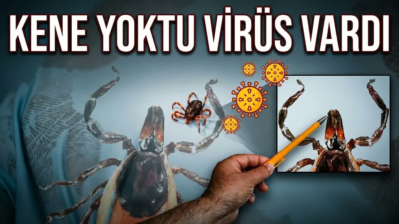 KKKA’da Korkutan Belirsizlik : Hastaların Bir Kısmında Kene Yok