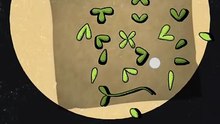 Flower Forest word puzzle game level 4