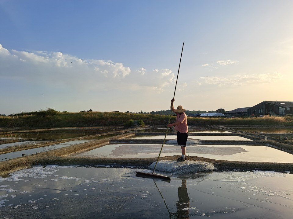 les-marais-salants-de-guerande-sous-la-canicule
