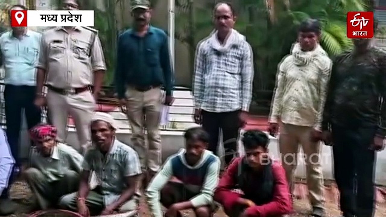 बालाघाट में बाघ के कंकाल बेचने का सौदा, ग्राहक बनकर पहुंचे वन अधिकारी, निकाली हेकड़ी