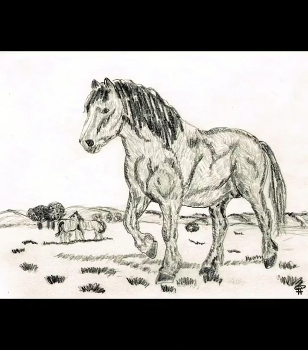 SERDAR ŞİMŞEK HORSE DRAWİNG