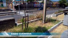 FORESTAME VIALE GAZZI DAL VERDE AL DEGRADO