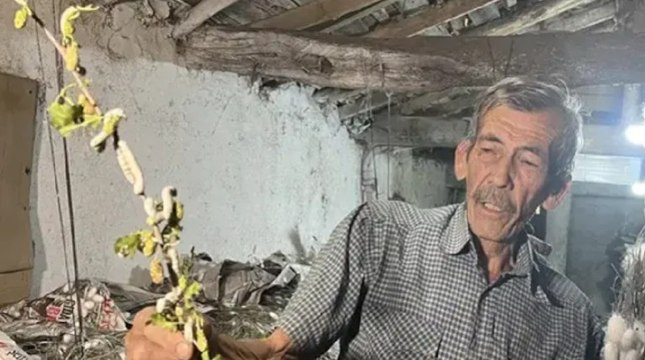 6 yıldır evinin altında üretiyor: 40 günde 216 bin TL kazanıyor