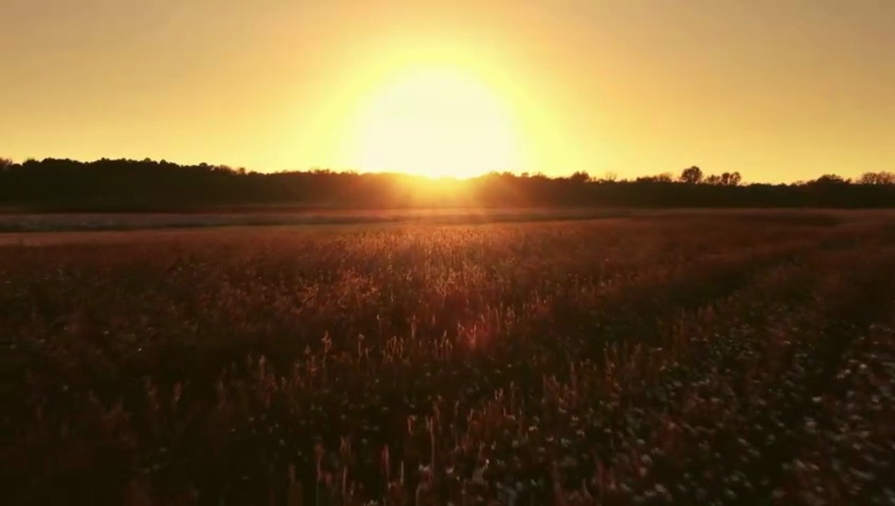 Record-shattering June heat is sweeping across Europe